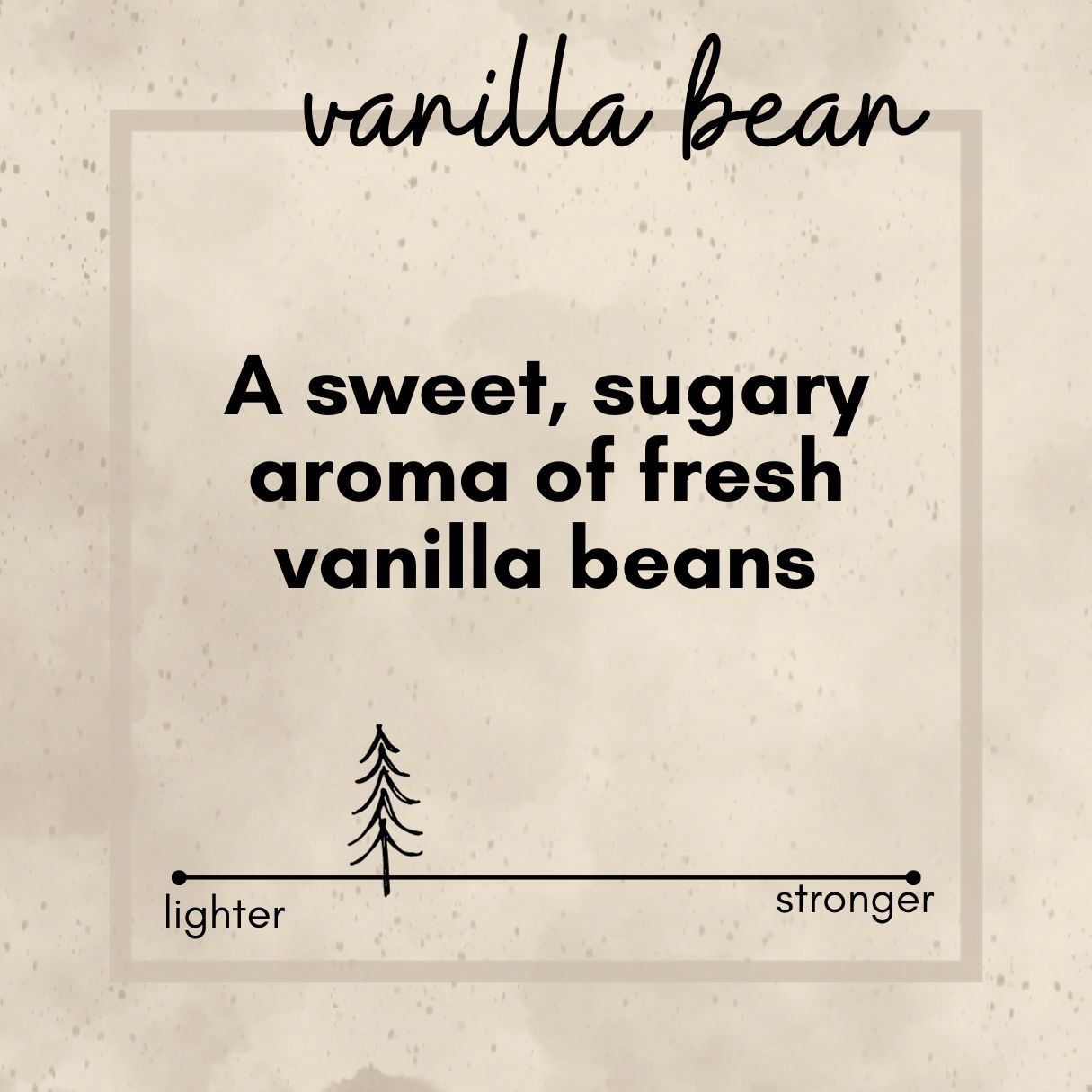 Vanilla Bean Candle