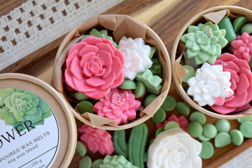 succulent shaped wax melts - wandering pines cottage
