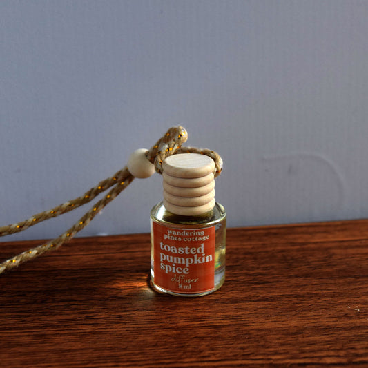 Toasted Pumpkin Spice Hanging Car Diffuser