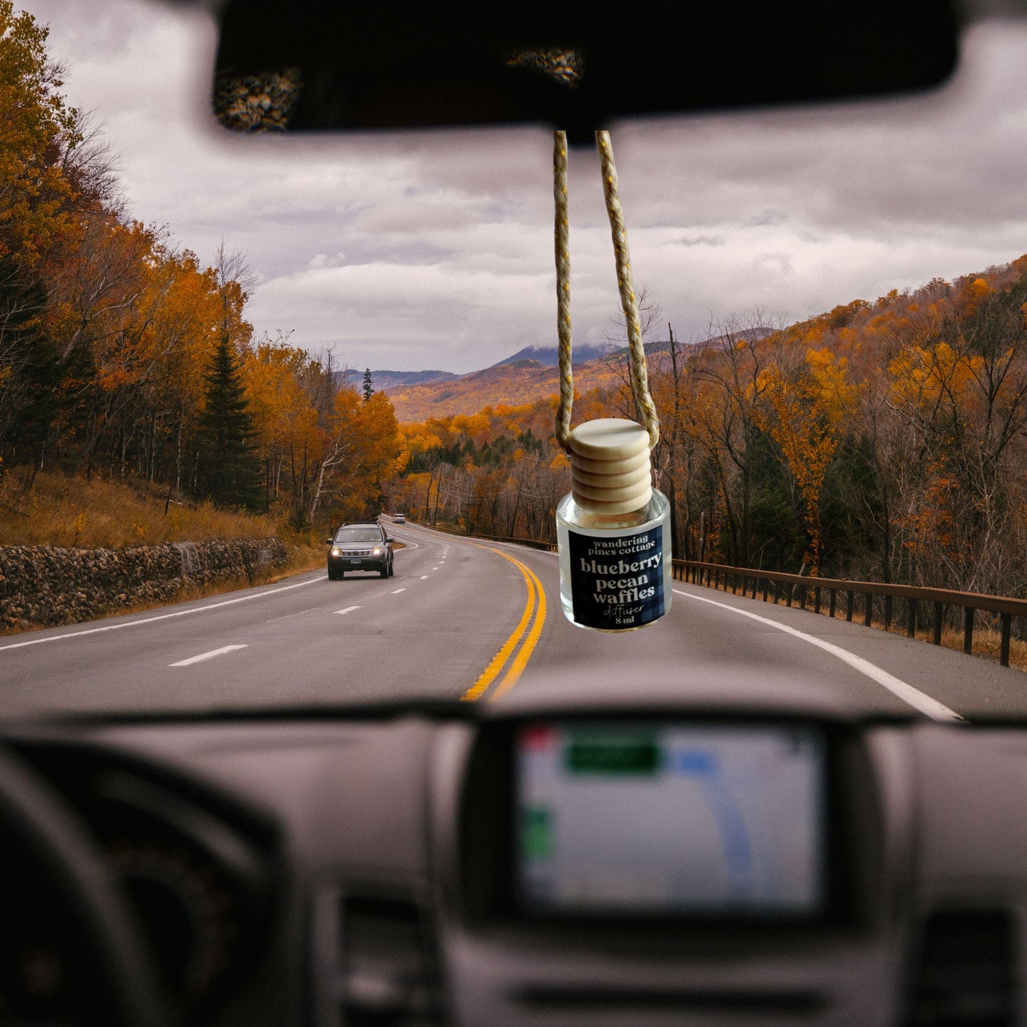 Blueberry Pecan Waffles Hanging Car Diffuser