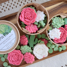 Load image into Gallery viewer, succulent shaped wax melts - wandering pines cottage