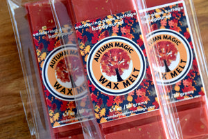Autumn Magic Wax Melt