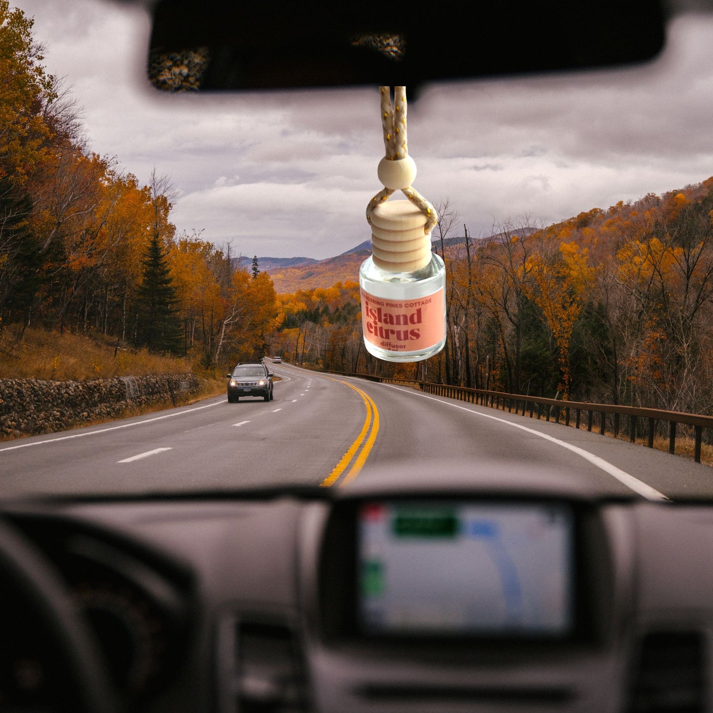 Island Citrus Hanging Car Diffuser