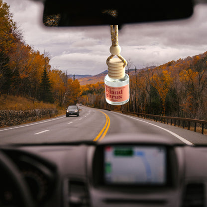 Island Citrus Hanging Car Diffuser
