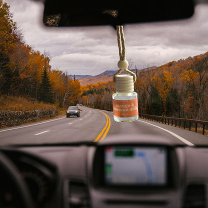 Mango and Coconut Milk Hanging Car Diffuser