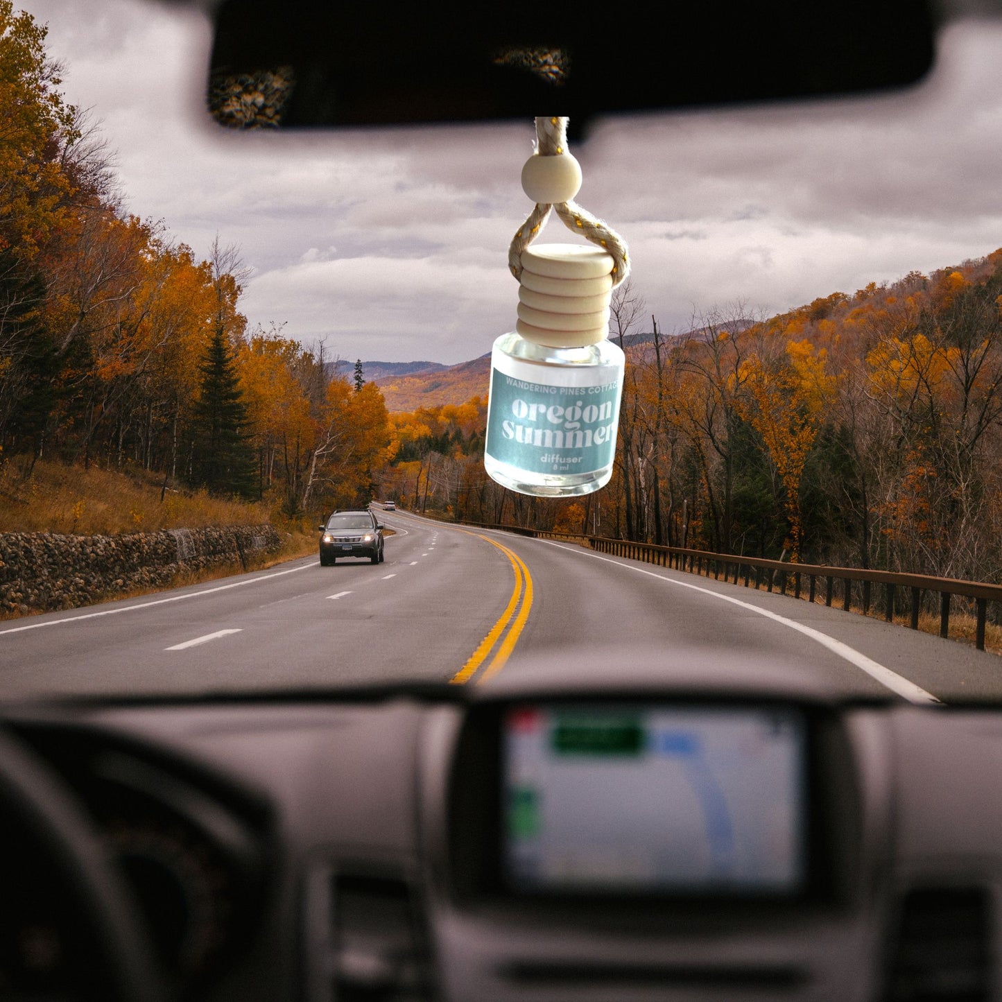 Oregon Summer Hanging Car Diffuser