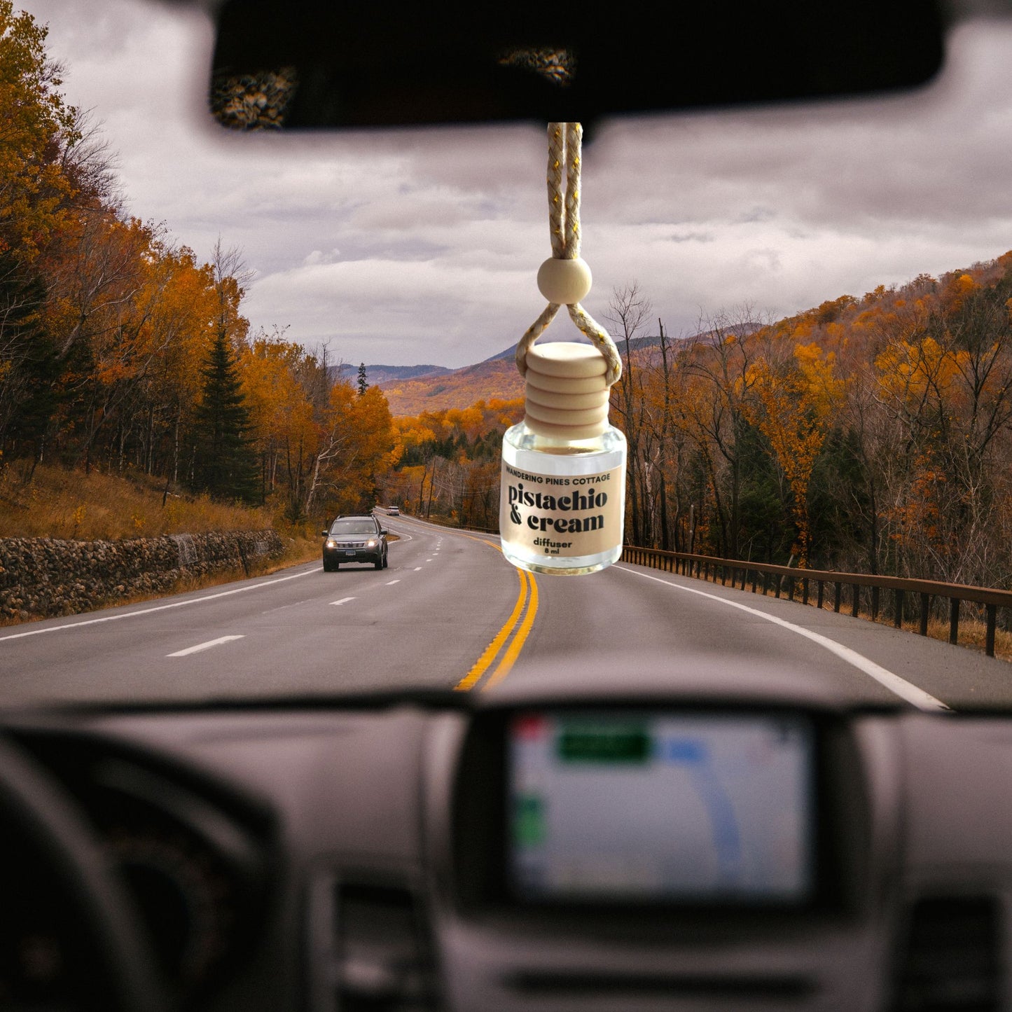 Pistachio and Cream Hanging Car Diffuser