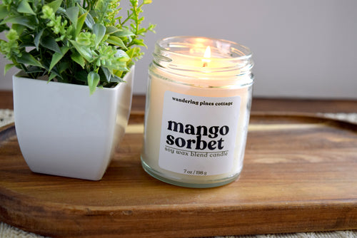 mango sorbet candle - wandering pines cottage