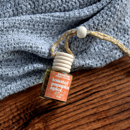 toasted pumpkin spice hanging diffuser - wandering pines cottage