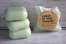 Load image into Gallery viewer, Cabin in the Woods Conditioner